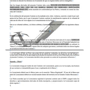 Contrato de licencia de uso de marca